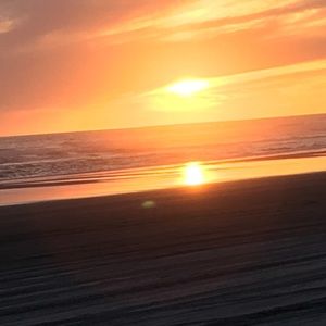 Meet your Posher, Lillian